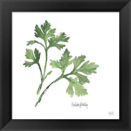 Framed Italian Parsley Print