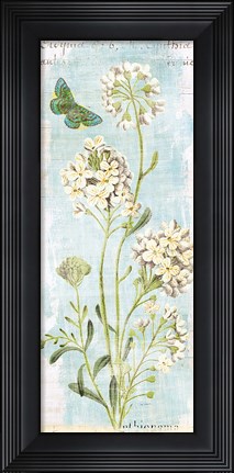 Framed Botany Blue II Print