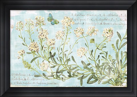 Framed Botany Blue I Print
