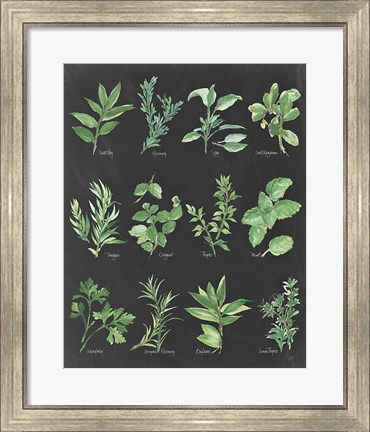 Framed Herb Chart on Black Print