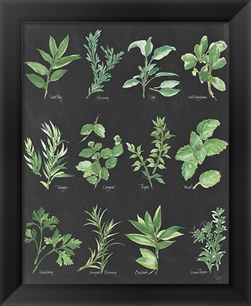 Framed Herb Chart on Black Print