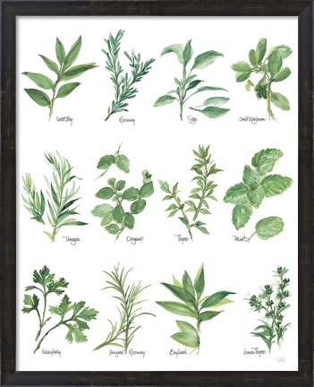 Framed Herb Chart Print