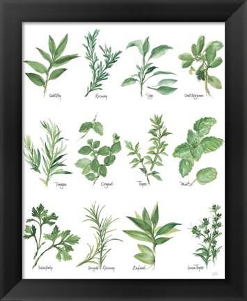 Framed Herb Chart Print