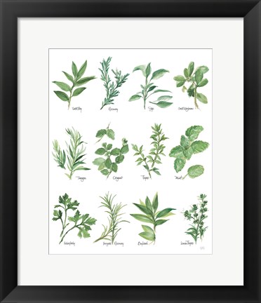 Framed Herb Chart Print