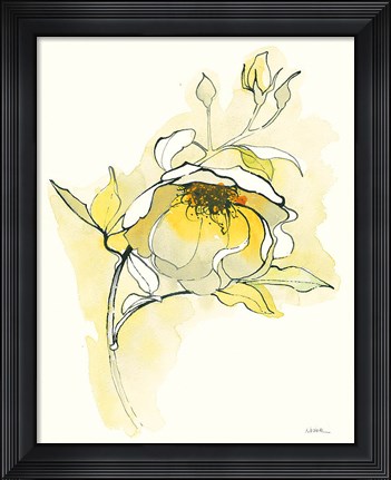 Framed Carols Roses V Print