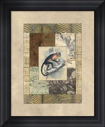 Framed Exotic V Print
