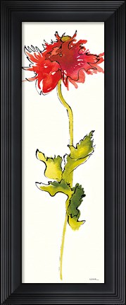 Framed Peony Form Poppies III Print