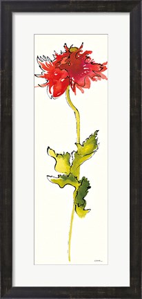 Framed Peony Form Poppies III Print