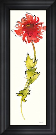 Framed Peony Form Poppies II Print