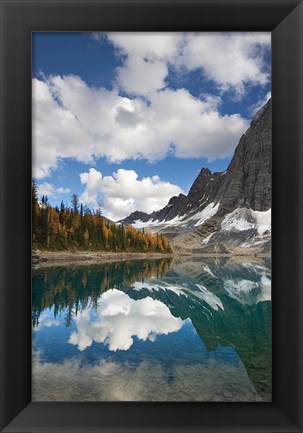 Framed Floe Lake Reflection I Print