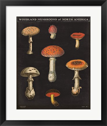 Framed Mushroom Chart III Print