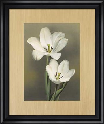 Framed Tulipani Print