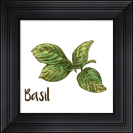 Framed Basil Print
