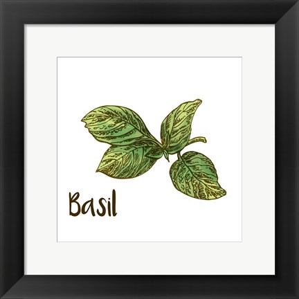 Framed Basil Print