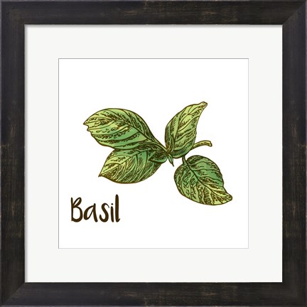 Framed Basil Print