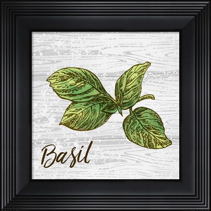 Framed Basil on Wood Print