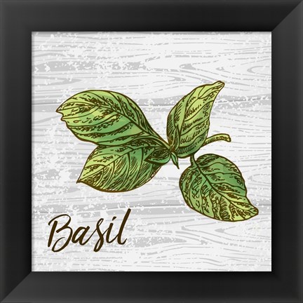 Framed Basil on Wood Print