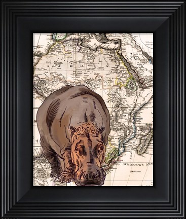 Framed African Hippo Print