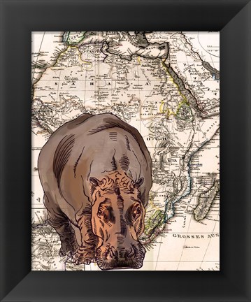 Framed African Hippo Print