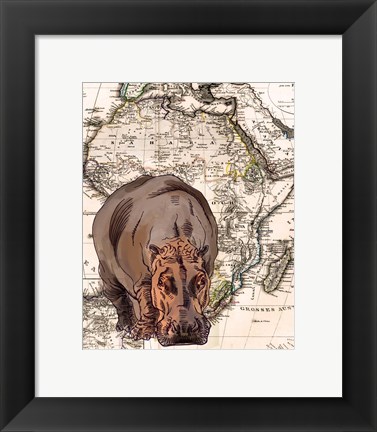 Framed African Hippo Print