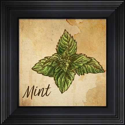 Framed Mint on Burlap Print