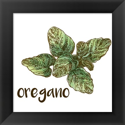 Framed Oregano Print