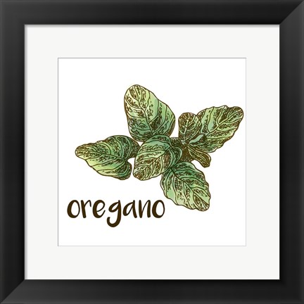 Framed Oregano Print