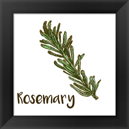 Framed Rosemary Print