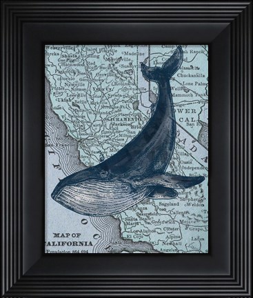 Framed California&#39;s Grayback Whale Print