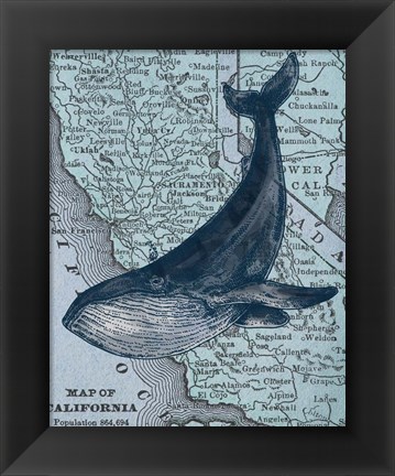 Framed California&#39;s Grayback Whale Print