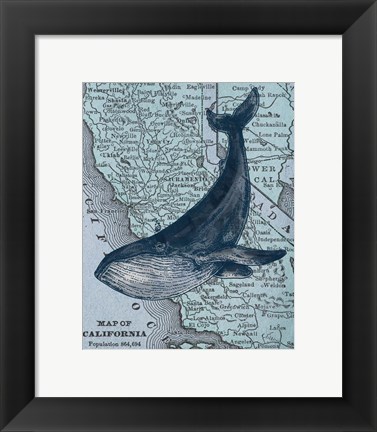 Framed California&#39;s Grayback Whale Print