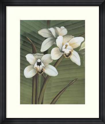 Framed Orchid with Palm I Print