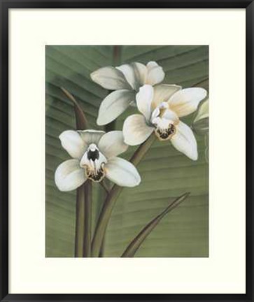 Framed Orchid with Palm I Print