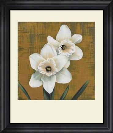 Framed Narcisi Print