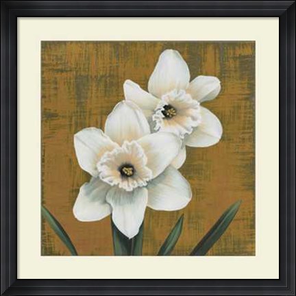 Framed Narcisi Print