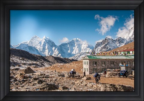 Framed Trekkers and yaks in Lobuche on a trail to Mt Everest Print