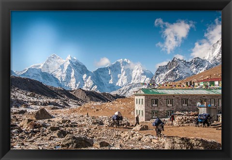 Framed Trekkers and yaks in Lobuche on a trail to Mt Everest Print