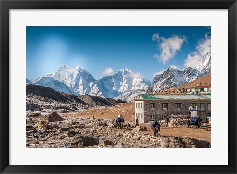 Framed Trekkers and yaks in Lobuche on a trail to Mt Everest Print