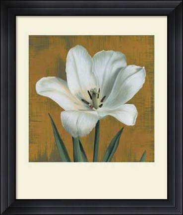Framed Tulipano Print