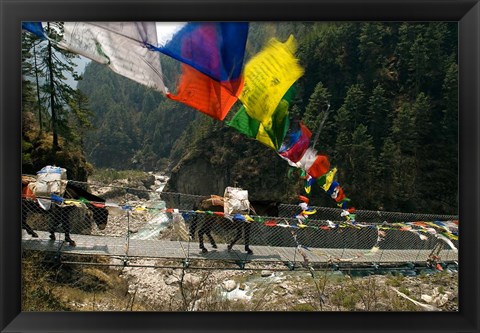 Framed Mule train on trail to Namche Bazaar, Larja Bridge, Khumbu, Nepal Print