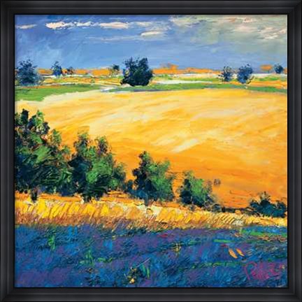 Framed Claudio Rabino - Vallata in Fiore Size 38.25x38.25 Print