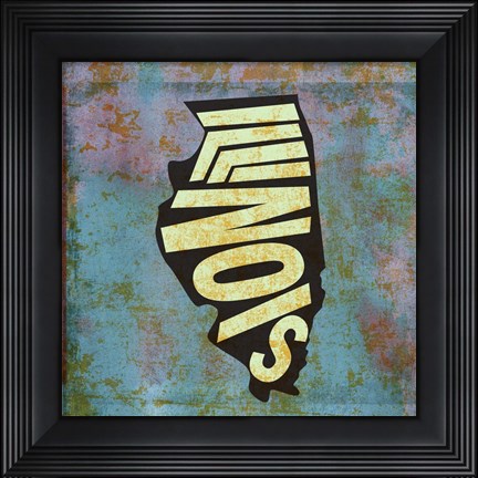 Framed Illinois Print