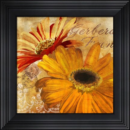 Framed Golden Gerbera II Print