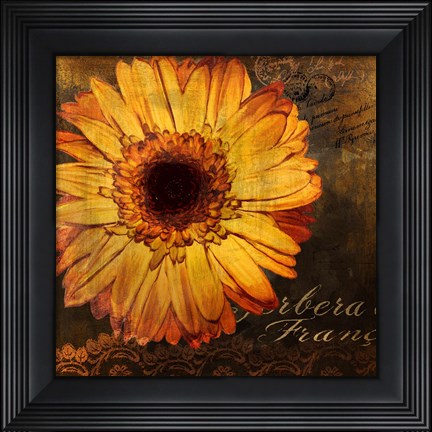 Framed Golden Gerbera III Print