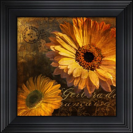 Framed Golden Gerbera IV Print