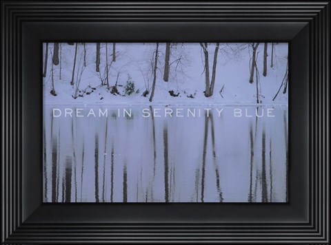 Framed Dream in Serenity Blue Print