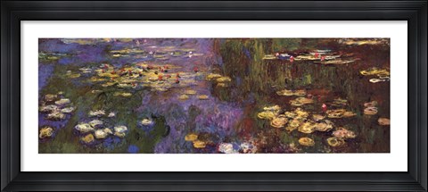 Framed Waterlilies Print