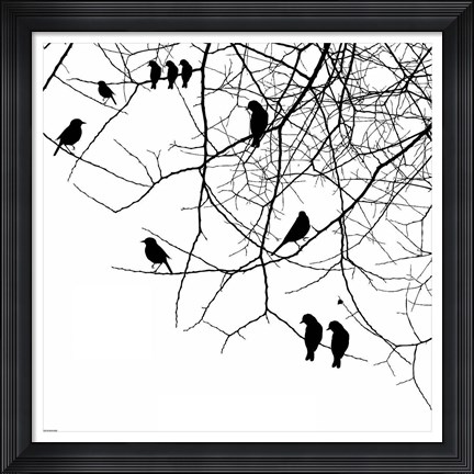 Framed Bird II Print