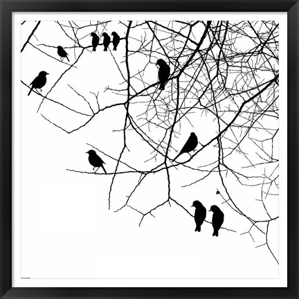 Framed Bird II Print