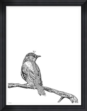 Framed Bird III Print